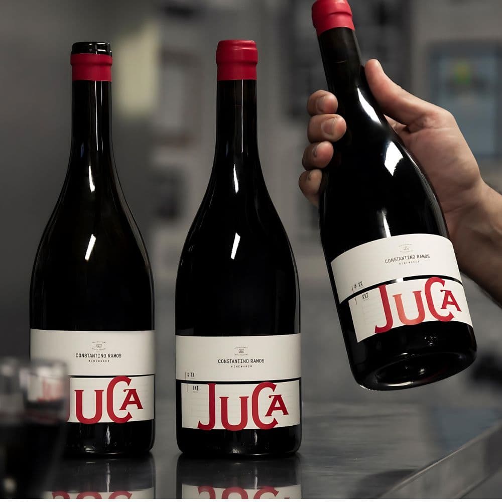 Juca 2023 - Vinho Verde Tinto