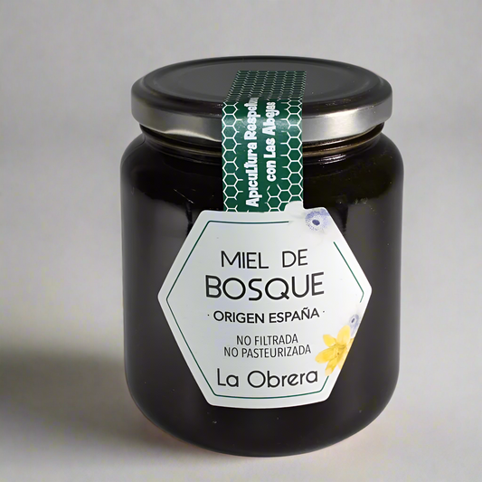 Forest honey from Spain - jar 500 g