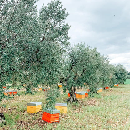 Lavender honey from Valensole 500g